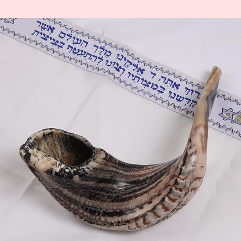 Horn Instrument, Half Polished/Natural Finish, 14-16 Inch, Full Set, Angels Musical Instrument in Kuwait