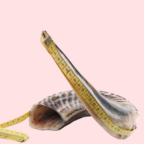 Horn Instrument, Half Polished/Natural Finish, 14-16 Inch, Full Set, Angels Musical Instrument in Kuwait