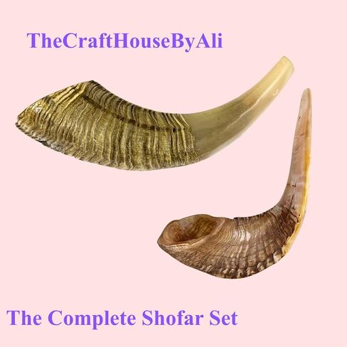 Horn Instrument, Half Polished/Natural Finish, 14-16 Inch, Full Set, Angels Musical Instrument in Kuwait