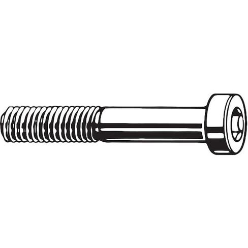 برغي غطاء الرأس، اسطوانة، M8-1.25x12mmL، PK50 in Kuwait