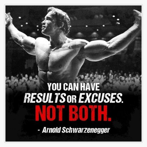 Arnold Schwarzenegger -You can Have Results or Excuses. Not Both. Sticker Bumper Sticker Vinyl Decal 5" in Kuwait