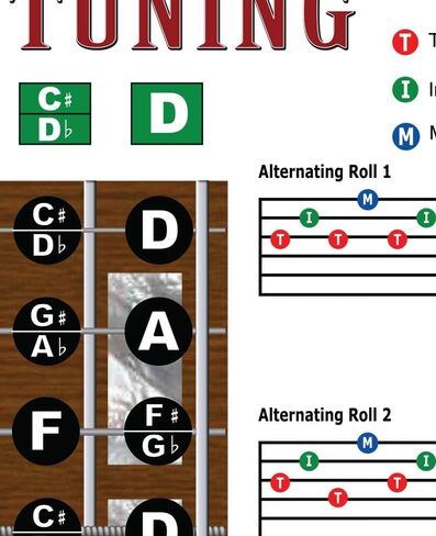 Lap Steel D Tuning Guitar Fretboard Note & Rolls Chart - للمبتدئين والمتوسطين، ملصق تعليمي سهل الحبال موسيقى أغنية جديدة 11 بوصة × 17 بوصة in Kuwait