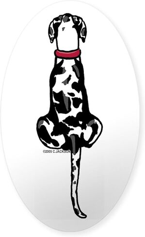 ملصق بيضاوي من CafePress Harlequin Great Dane UC Sit ملصق بيضاوي ممتص للصدمات ملصق سيارة in Kuwait