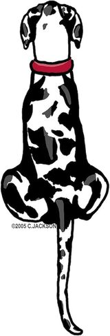 ملصق بيضاوي من CafePress Harlequin Great Dane UC Sit ملصق بيضاوي ممتص للصدمات ملصق سيارة in Kuwait