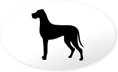 ملصق بيضاوي من CafePress Harlequin Great Dane UC Sit ملصق بيضاوي ممتص للصدمات ملصق سيارة in Kuwait