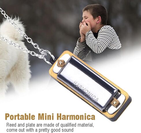 Ejoyous Harmonica Necklace Small, 4 Hole Harmonica Necklace Portable Musical Instrument, for Students Adults Beginners (Silver) in Saudi Arabia
