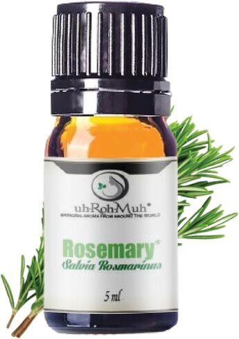 Organic Rosemary Essential Oil ct Camphor | 100% Pure Steam Distilled Aromatic Oil from Salvia rosmarinus Leaves | Fresh Herbaceous Camphor Aroma for Diffusers, Blends, Haircare | Spain 2 oz w/pipette in Saudi Arabia