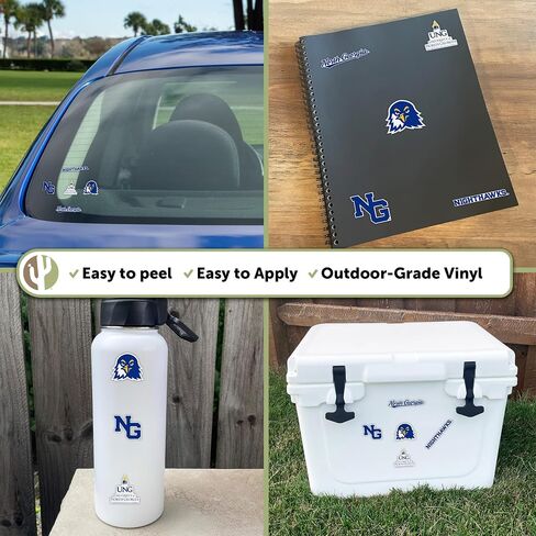 Desert Cactus University of North Georgia Sticker UNG Nighthawks Vinyl Decals Laptop Water Bottle Car Scrapbook Sheet T2 (Type 2-2) in Kuwait