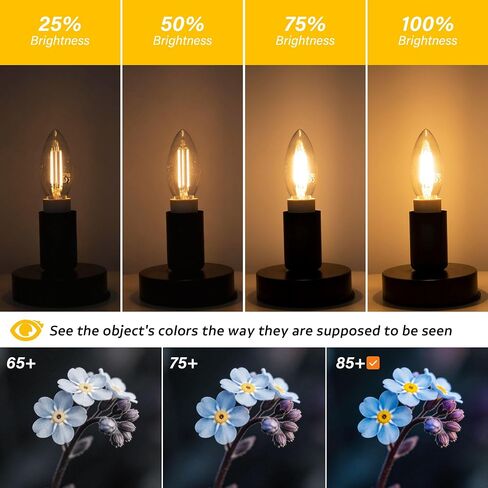 عكس الضوء B11 LED E12 لمبة 25 واط لمبات الشمعدانات (تساوي 2 واط، 25 واط نوع B لمبة الضوء الأبيض الدافئ 2700K 200LM للثريا، Cights شمعة الكريستال، مصباح، حزمة من 6 in Kuwait