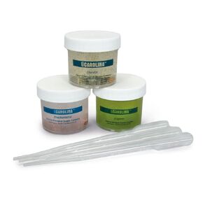 Carolina Protozoa Pigmentation Set, Living – Vividly Colored Cultures | Observe Rose, Green & Blue Pigmented Protozoa | Ideal for Microscopy & Cell Structure Studies in Kuwait