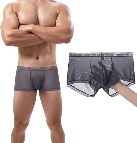 Men's Sexy Underwear Ice Silk Sheer Boxer Briefs See Through Mesh Ultra Thin Transparent Trunk in Saudi Arabia