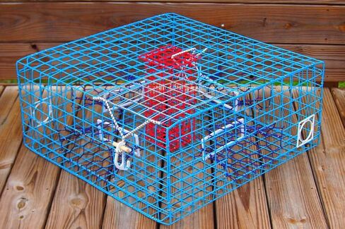 Florida Medium Blue Crab Trap – 24 x 14 x 11 Crab Pot for Recreational Crabbing – Two-Throat Entry Fishing Trap – PVC Coated Wire Saltwater Crab Trap in Saudi Arabia