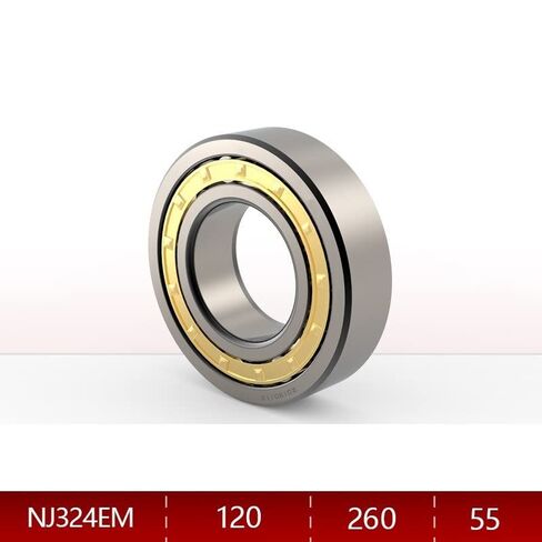 1PC Cylindrical Roller Bearings NJ315 316 317 318 319 320 322 324EM Single Row Bearing in Saudi Arabia