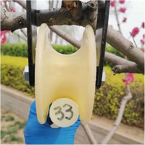 عجلة أخدود على شكل حرف v، قطعة واحدة من أسطوانة النايلون بقطر 116 مم مع قطر أخدود على شكل حرف U 35 مم دليل حد عجلة النقل بمحمل مزدوج in Kuwait