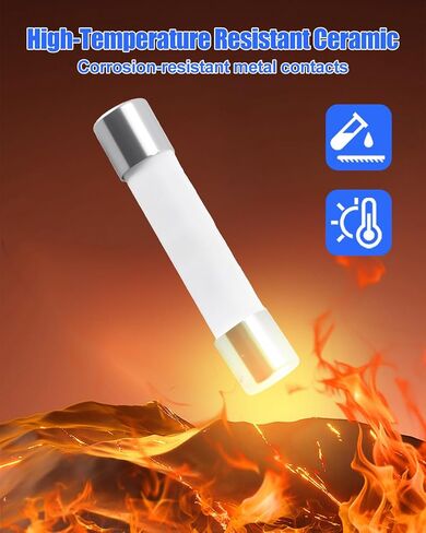 5PCS Ceramic Fuse 1000V AC/DC 600mA 6.35x32mm Suitable for Digital Multimeters, FF0.6A Fast-Blow Overload Protection in Kuwait