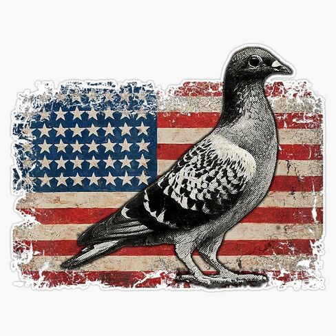HOF Trading Pigeon Bird 4Th of July USA Pigeon USA Flag Vinyl Sticker Waterproof Decal Laptop Wall Window Bumper Sticker 5" in Kuwait
