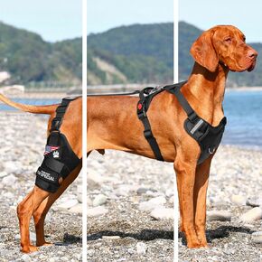 Dog Leg Brace for Torn Acl Hind Leg,8X Support Dog Knee Brace with Metal Strips for Joint Pain Relief, Rear Leg Brace with Adjustable Traction Belt for Cruciate Ligament Injury (S)