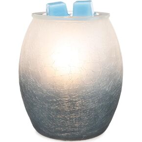 Scentsationals Wax Warmer, Scented Wax Cube Melter, Flower Electric Fragrance Burner, Wickless Candle Air Freshener, Full Size Home Décor, House Decoration Gift (Roulette)