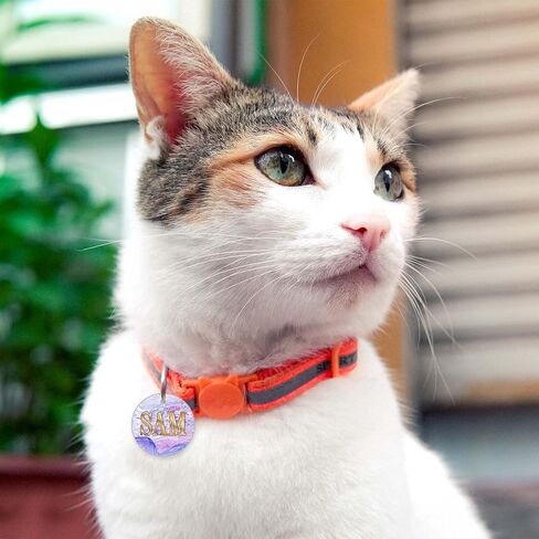 Qianyu 46 Pcs Pet Tag Resin Mould Silicone Model Dedicated for Casting Resin Pet Collar Pendant Dog Cat Name Keychain Mould with Set of Matching Keychain DIY Crafts Making Tag Pendant Accessories in Kuwait