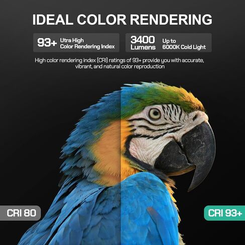 EMART 50W Dimming 3000K-6000K APP/Remote Control LED Light Bulb for Softbox Lighting Kit, Photography Lighting Soft Light Bulb for Professional Studio,Home,Office,Garden,Grow Light-2 Packs in Saudi Arabia