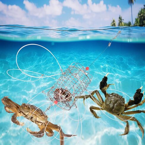 Jahy2Tech 2 حزمة مصيدة سرطان البحر مع 8 حلقات لسرطان الصخور، وسرطان البحر، وسرطان البحر الأزرق، وسرطان البحر الأحمر، وأفخاخ سرطان البحر قابلة لإعادة الاستخدام لقضبان الصيد، مقاومة للماء والتآكل in Kuwait