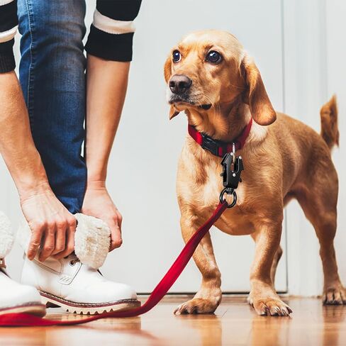 قطعتان من مشبك الضفدع، مشبك دوار 360 درجة، مشبك مقود الكلب شديد التحمل، حلقة معدنية سريعة التحرير، موصل الرصاص الآمن لربط طوق الحيوانات الأليفة وحزام الكلب in Kuwait