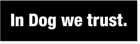 ملصق سيارة CafePress in Dog We Trust مقاس 25.4 سم × 7.62 سم ​​مستطيل من الفينيل in Kuwait