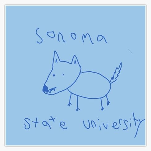 Sonoma State University Window Water Bottle Bumper Sticker Decal 5" in Saudi Arabia