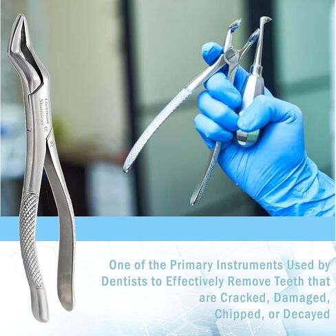 A2Z Scilab ملقط استخلاص الأسنان الألماني المسنن #32 ملقط استخلاص عالمي أدوات طب الأسنان - للشرفات العلوية والثنائيات والأضراس والجذور. - مصنوع من الفولاذ المقاوم للصدأ الفاخر in Kuwait