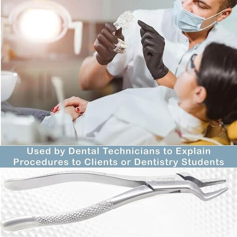 A2Z Scilab ملقط استخلاص الأسنان الألماني المسنن #32 ملقط استخلاص عالمي أدوات طب الأسنان - للشرفات العلوية والثنائيات والأضراس والجذور. - مصنوع من الفولاذ المقاوم للصدأ الفاخر in Kuwait