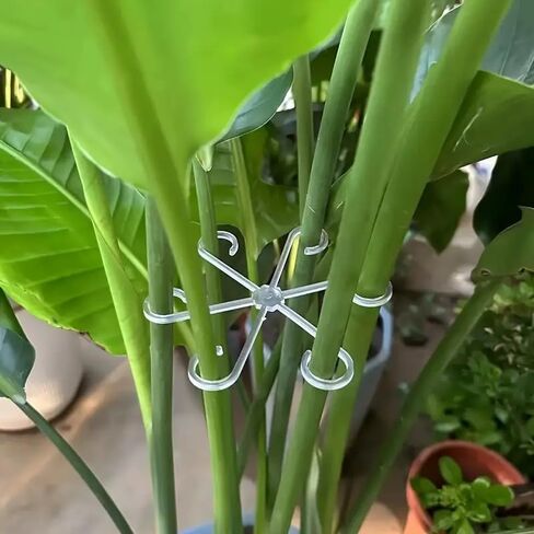4pcs Plastic Support Clips for Durable Vine Support Structure - Multi - Functional Garden Fence for Flower Stems, Transparent in Kuwait