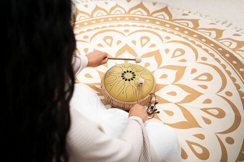 Meinl Sonic Energy Octave Steel Tongue Drum 8 Notes 10" with Mallets, Bag — Sound Healing Instrument for Musical Education, Meditation, ASMR, Yoga in Kuwait
