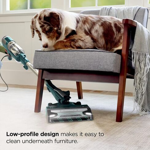 Shark PowerDetect Corded Stick Vacuum, Carpet and Hardfloors, Pet Friendly, Direction Detect, Floor Detect, DuoClean Brushroll, Removable Handheld, HZ4000, Teal (Renewed) in Kuwait