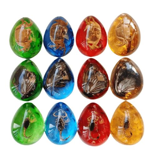 Colourful Amber Fossil Insect Artificial Amber Insect Specimen Pendant Amber Stone Ornament for Collection,Science Education (12 PCS) in Saudi Arabia