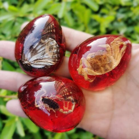 Colourful Amber Fossil Insect Artificial Amber Insect Specimen Pendant Amber Stone Ornament for Collection,Science Education (12 PCS) in Saudi Arabia