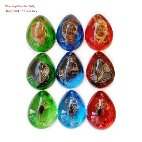 Colourful Amber Fossil Insect Artificial Amber Insect Specimen Pendant Amber Stone Ornament for Collection,Science Education (12 PCS) in Saudi Arabia