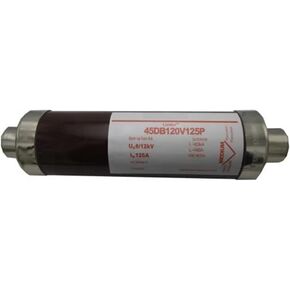 وصلة الصمامات ذات الجهد العالي 160A 24KV 12KV 3002013.160A فيوز in Kuwait