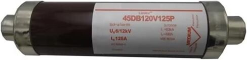 وصلة الصمامات ذات الجهد العالي 160A 24KV 12KV 3002013.160A فيوز in Kuwait