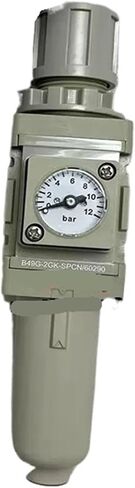 منظمات تصفية الخيط اللولبي B49G-2GK-SPCN/60290 G1/4 in Kuwait