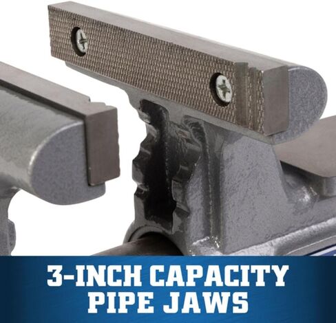 Wilton 6" Apprentice vise (WVA6) in Kuwait