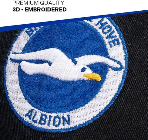 قبعة بيسبول صبار الصحراء برايتون وهوف ألبيون BHAFC Seagulls لكرة القدم وكرة القدم قبعات مطرزة ذات حواف قبعة قابلة للتعديل بحزام قماش للبالغين (نمط C1) أسود in Kuwait