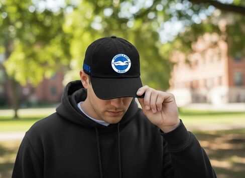 قبعة بيسبول صبار الصحراء برايتون وهوف ألبيون BHAFC Seagulls لكرة القدم وكرة القدم قبعات مطرزة ذات حواف قبعة قابلة للتعديل بحزام قماش للبالغين (نمط C1) أسود in Kuwait
