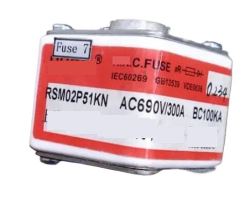 Fuses: RSM02P51KN 690V 200A 300A RSM03P51KN 800A RSM01P51KN RSM05P51KN aR(RSM02P51KN 690V 200A) in Kuwait