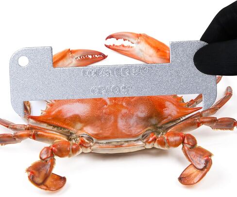 2 PCS Aluminum Lobster and Blue Crab Gauge, Lobster 3-1/4" and Crab 5" | Measuring Tool for California, Maine, MA, NH, RI, CT, MP, AL, FL, GA, MD, VA, NC, SC, LA, TX and Canada in Kuwait