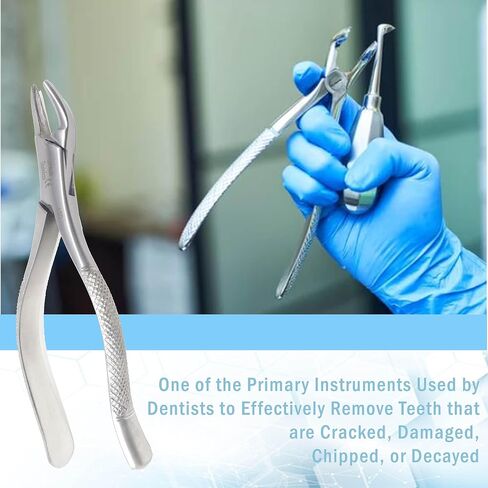 A2Z Scilab German Dental Extracting Extraction Forceps #150 - For Maxillary incisors,Canines,Premolars & Roots - Comes with Serrated Jaws & Sturdy Handle Grip - Made of Premium Grade Stainless Steel in Kuwait