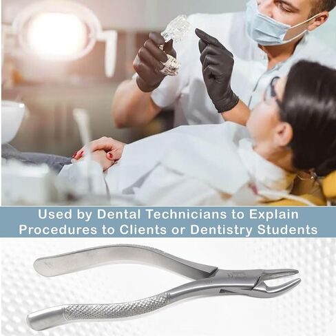 A2Z Scilab German Dental Extracting Extraction Forceps #150 - For Maxillary incisors,Canines,Premolars & Roots - Comes with Serrated Jaws & Sturdy Handle Grip - Made of Premium Grade Stainless Steel in Kuwait