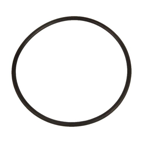 Rx Clear O-Ring Only for Niagara Pump Housing | Replacement Parts for Swimming Pool Pumps in Kuwait