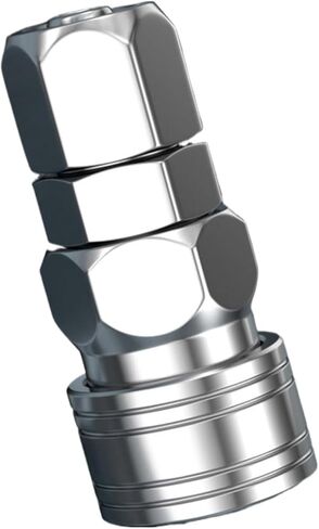 Quick connector C self-locking; SP20 Female 8mm Stainless Self Locking in Kuwait