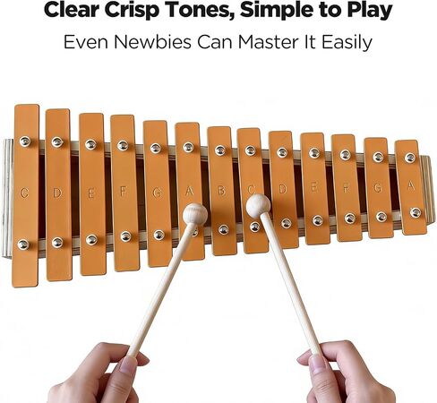 13-Note Xylophone Glockenspiel مع مطرقتين - مفاتيح معدنية Xilofono على إطار خشبي - أداة إيقاعية للمبتدئين، تعليم الموسيقى وممارسة الإيقاع (XP-05) in Kuwait