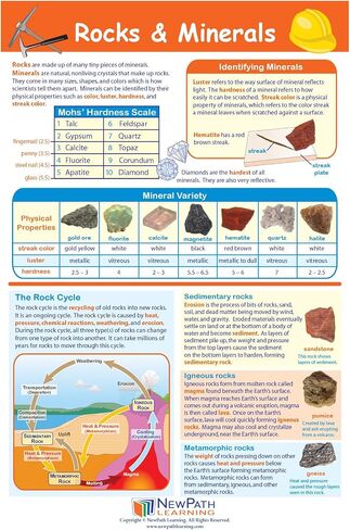 NewPath Learning Grade 4 Science Anchor Charts – Set of 10 (12x18") & 25-Page Resource Guide Covering Life, Earth & Physical Science for Classroom & Homeschool Use (94-9940) in Kuwait